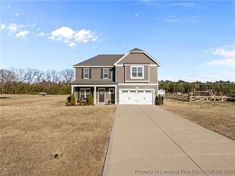 Tiny photo for 298 Turkey Trot Lane, Raeford, NC 28376 (MLS # 756156)