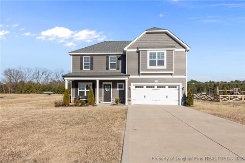 Photo of 298 Turkey Trot Lane, Raeford, NC 28376 (MLS # 756156)