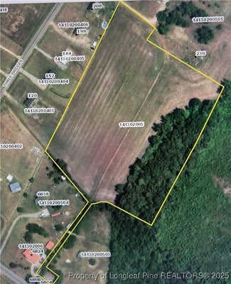 234 3 BRIDGES RD, ROWLAND, NC 28383 - Image 856ff76e08bd07e03651f5135e9ed066/3116490447