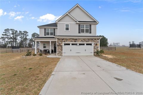 Photo of 181 Turkey Trot Lane, Raeford, NC 28376 (MLS # 758510)