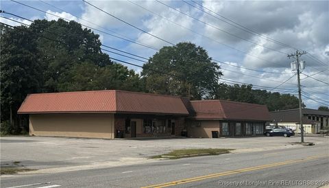 Tiny photo for 314 E 4th Avenue, Red Springs, NC 28377 (MLS # 751301)