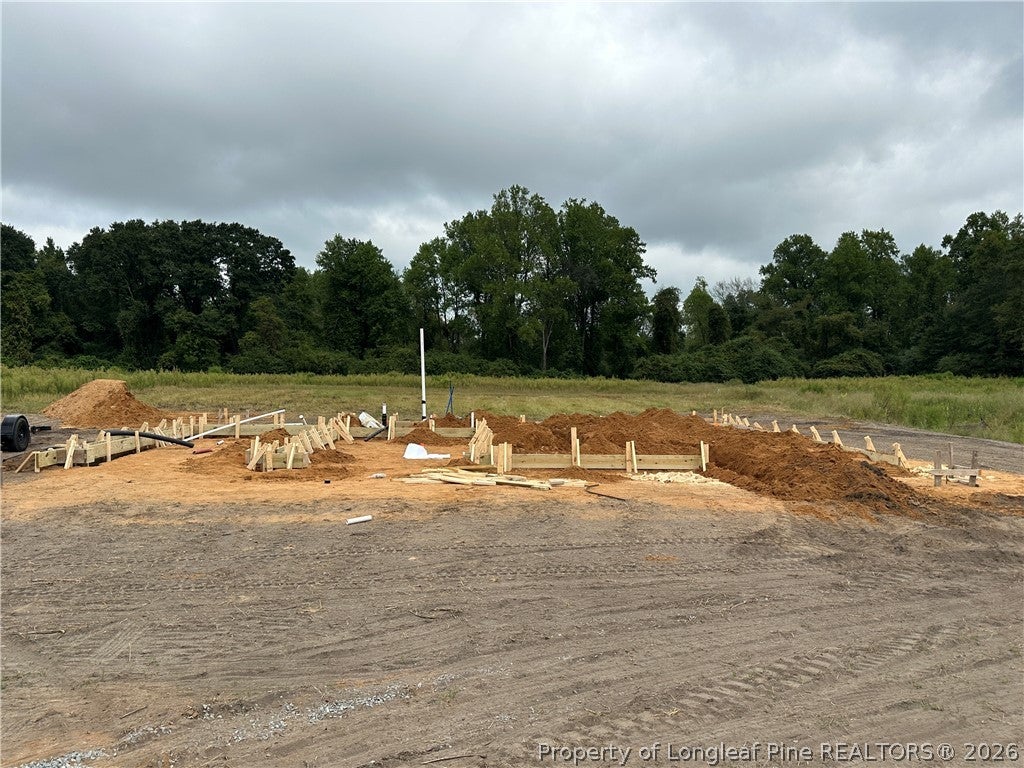 Photo of 104 Rolands Ridge (Lot 5) Road, Autryville, NC 28318 (MLS # 769577)