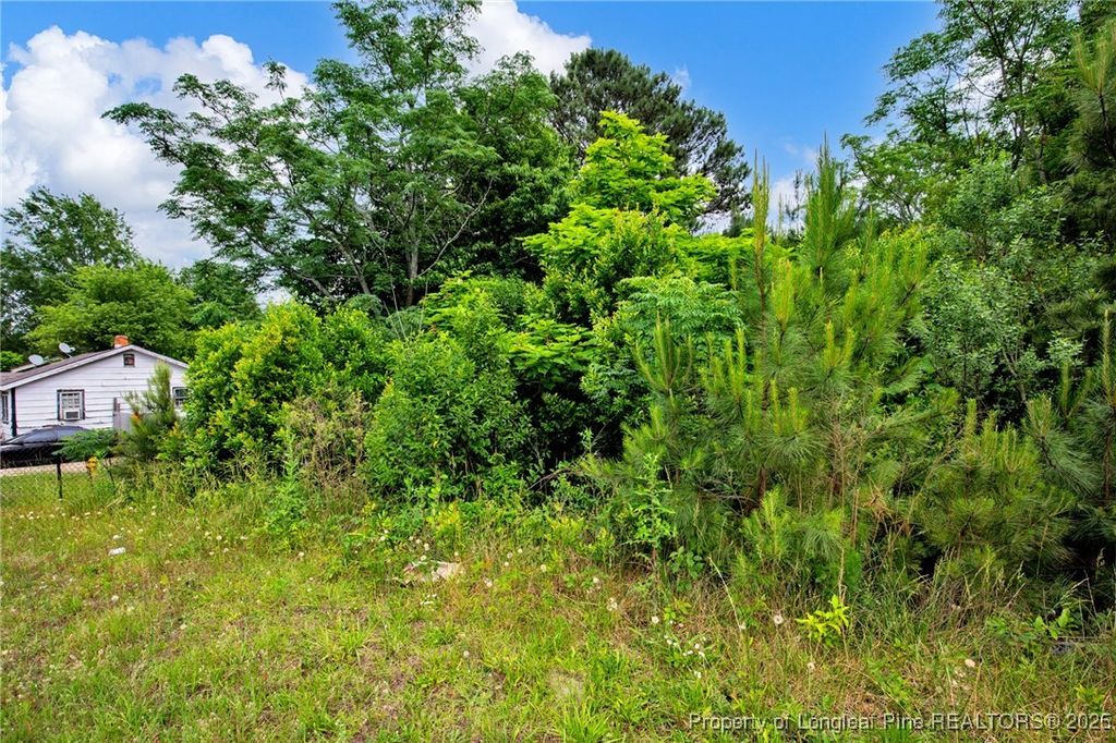 Photo of 302 Poe Avenue, Spring Lake, NC 28390 (MLS # 743854)