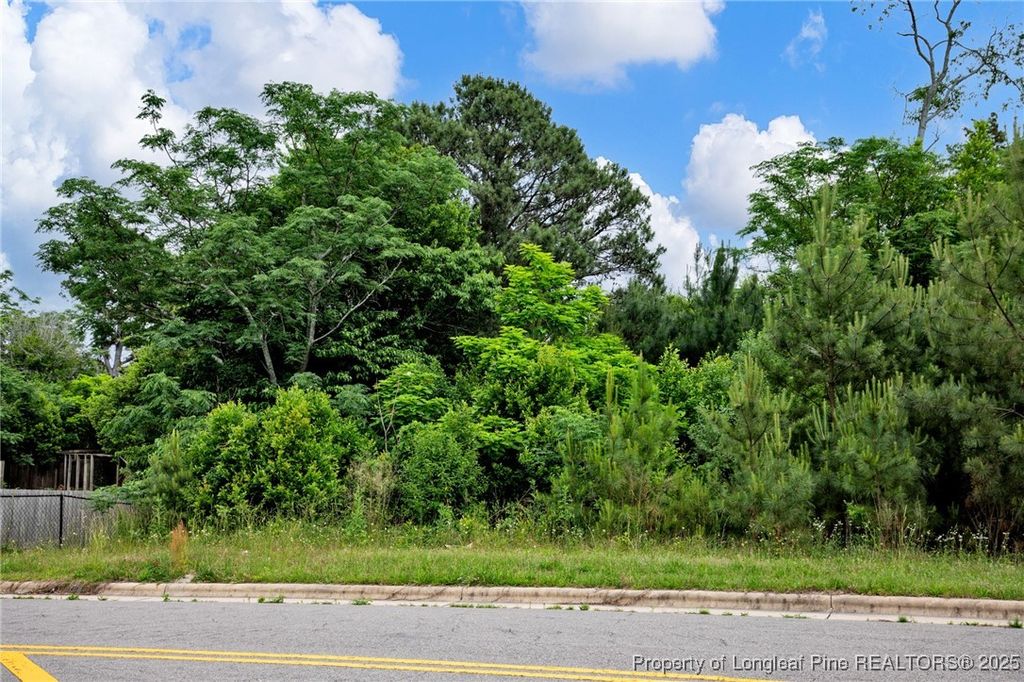 Photo of 302 Poe Avenue, Spring Lake, NC 28390 (MLS # 743854)