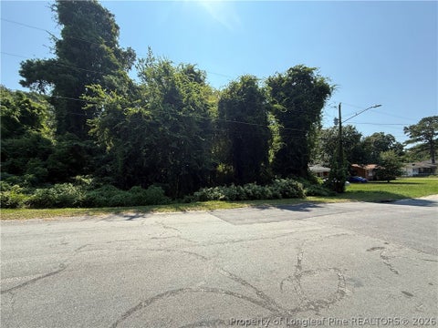 Tiny photo for 2005 & 2009 Poplar Drive, Fayetteville, NC 28304 (MLS # 768399)