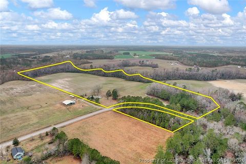 Tiny photo for Pittman Loop Road, Fairmont, NC 28364 (MLS # 757824)