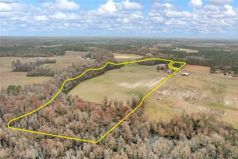 Tiny photo for Pittman Loop Road, Fairmont, NC 28364 (MLS # 757824)