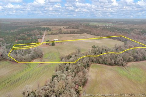 Tiny photo for Pittman Loop Road, Fairmont, NC 28364 (MLS # 757824)