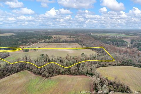 Tiny photo for Pittman Loop Road, Fairmont, NC 28364 (MLS # 757824)