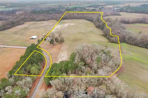 Photo of Pittman Loop Road, Fairmont, NC 28364 (MLS # 757824)