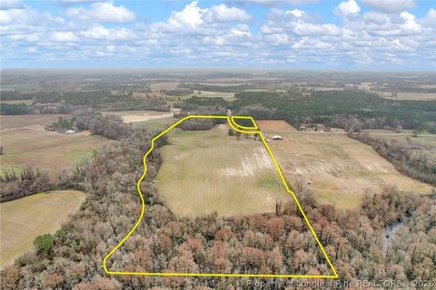 Tiny photo for Pittman Loop Road, Fairmont, NC 28364 (MLS # 757824)