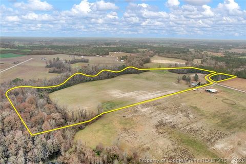 Tiny photo for Pittman Loop Road, Fairmont, NC 28364 (MLS # 757824)