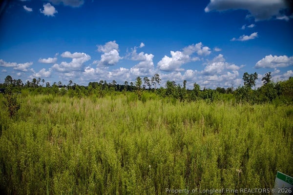 1 MITCHELL RD, FAIRMONT, NC 28340 - Image 89c66a2343fc604bc9d5cd224f6379ed/2069315960
