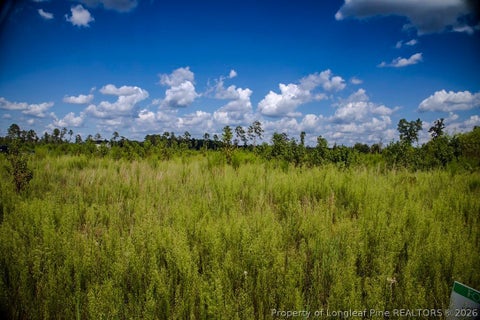 Photo of Tract 15 Mitchell Road, Fairmont, NC 28340 (MLS # 768682)