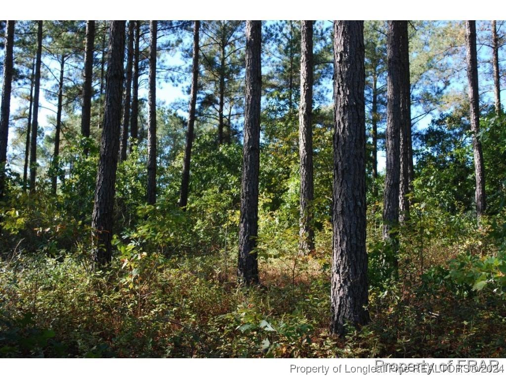 45 Broadlake (479) Lane