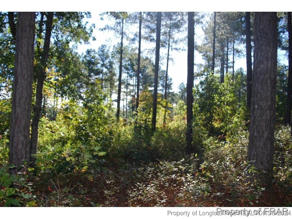 45 Broadlake (479) Lane