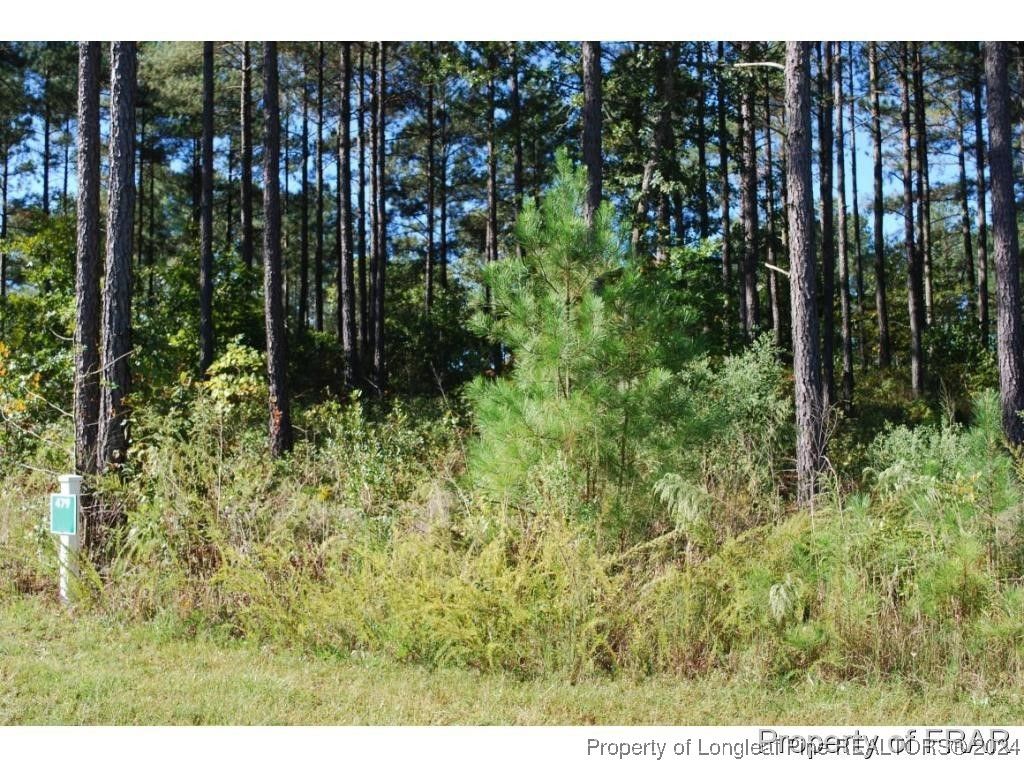 Photo of 45 Broadlake (479) Lane, Spring Lake, NC 28390 (MLS # 734553)