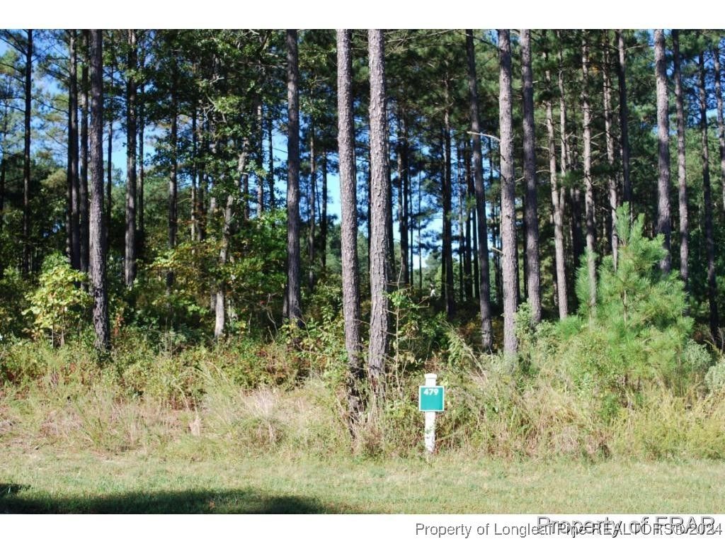 Photo of 45 Broadlake (479) Lane, Spring Lake, NC 28390 (MLS # 734553)