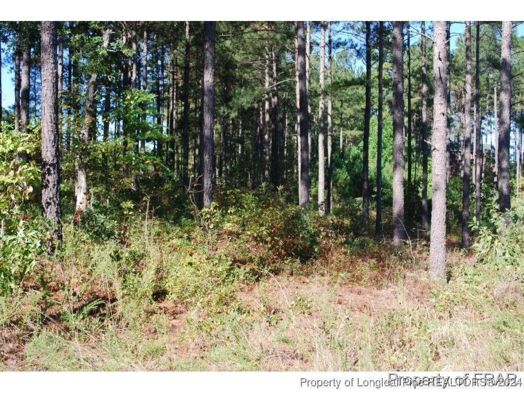 Photo of 45 Broadlake (479) Lane, Spring Lake, NC 28390 (MLS # 734553)