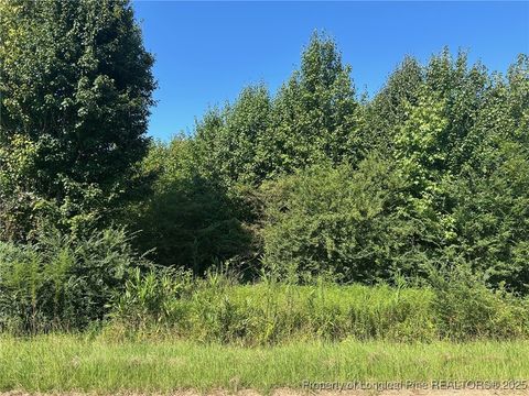 Tiny photo for Dunn Road, Roseboro, NC 28382 (MLS # 755001)