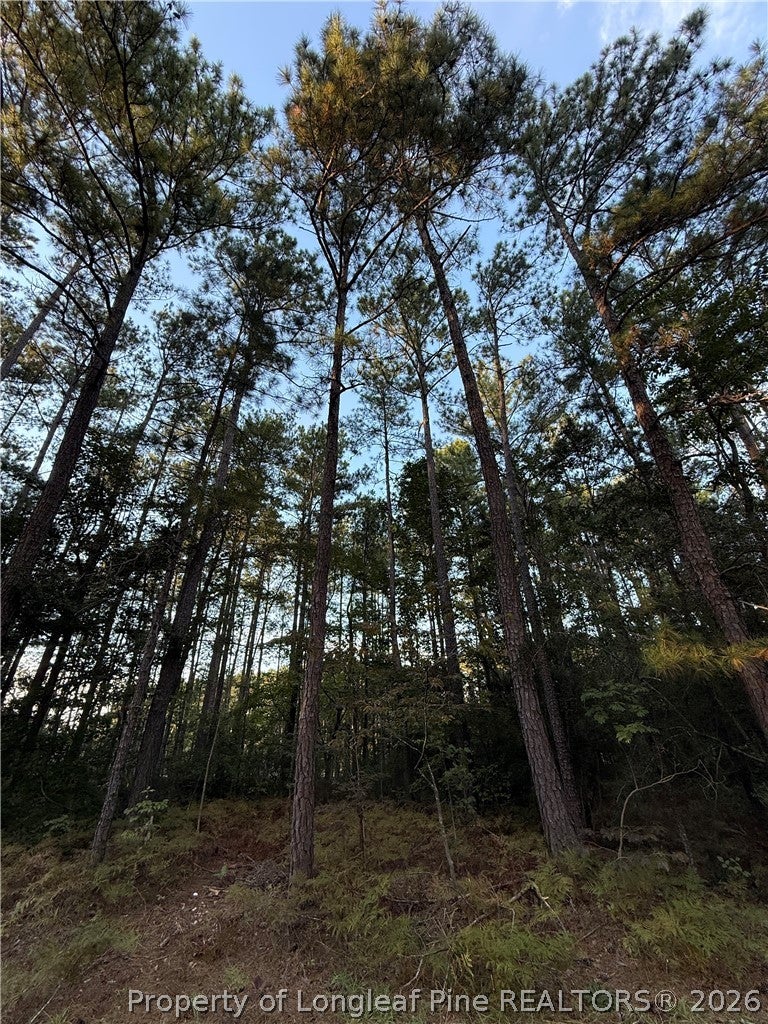 00000 Bee Tree Lane