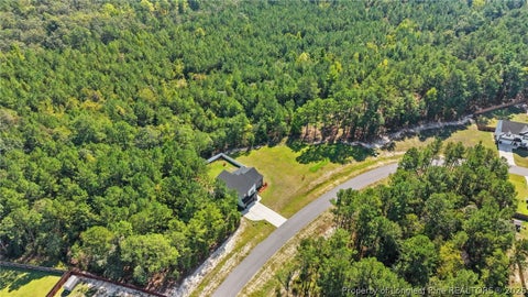 Tiny photo for 268 Solomon Drive, Cameron, NC 28326 (MLS # 769310)