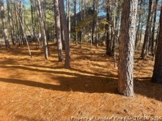 847 SEAGULL DR, VASS, NC 28394 - Image 8b0ac2cd70a2d5ebfd3b8c536068b038/3896380407