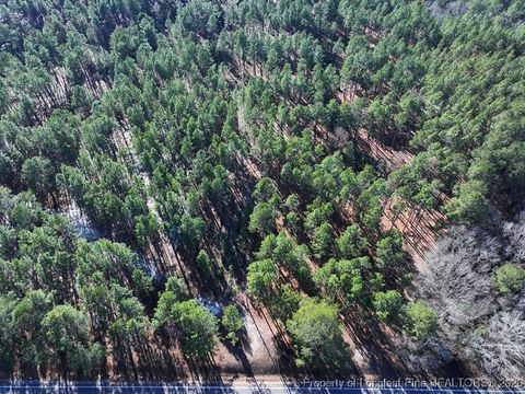 Photo of NC Hwy 130 Highway, Fairmont, NC 28340 (MLS # 756430)