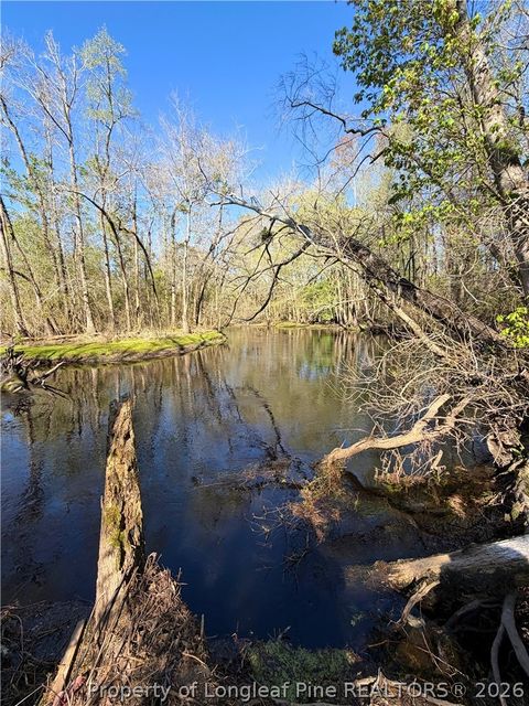 Tiny photo for Clark Road, Maxton, NC 28364 (MLS # 760123)