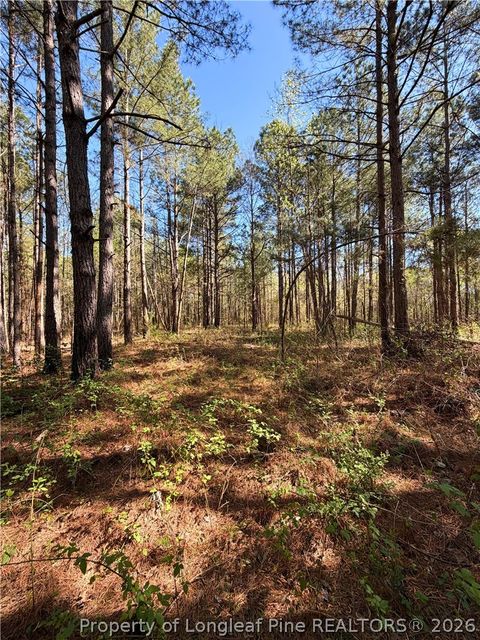 Tiny photo for Clark Road, Maxton, NC 28364 (MLS # 760123)