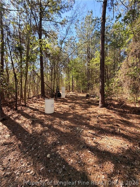 Tiny photo for Clark Road, Maxton, NC 28364 (MLS # 760123)