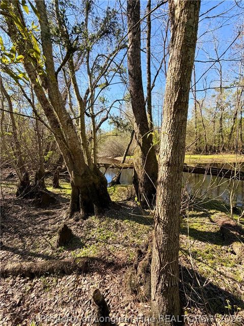 Tiny photo for Clark Road, Maxton, NC 28364 (MLS # 760123)