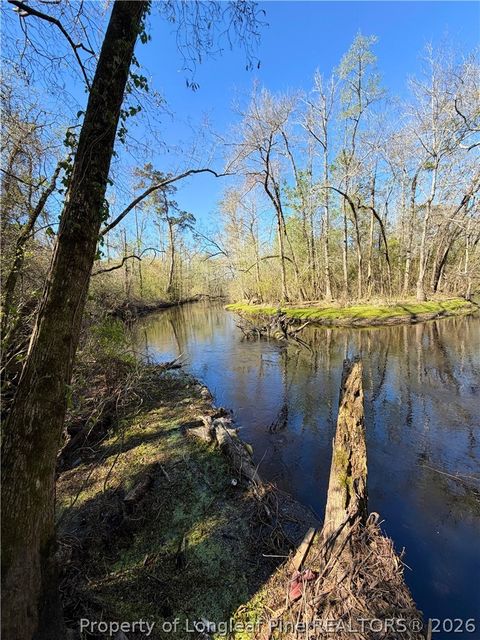 Tiny photo for Clark Road, Maxton, NC 28364 (MLS # 760123)