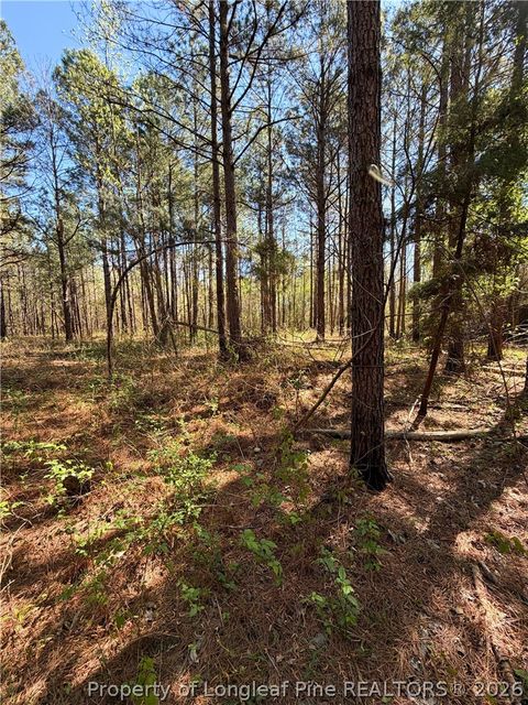 Tiny photo for Clark Road, Maxton, NC 28364 (MLS # 760123)