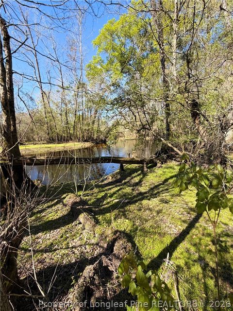 Tiny photo for Clark Road, Maxton, NC 28364 (MLS # 760123)