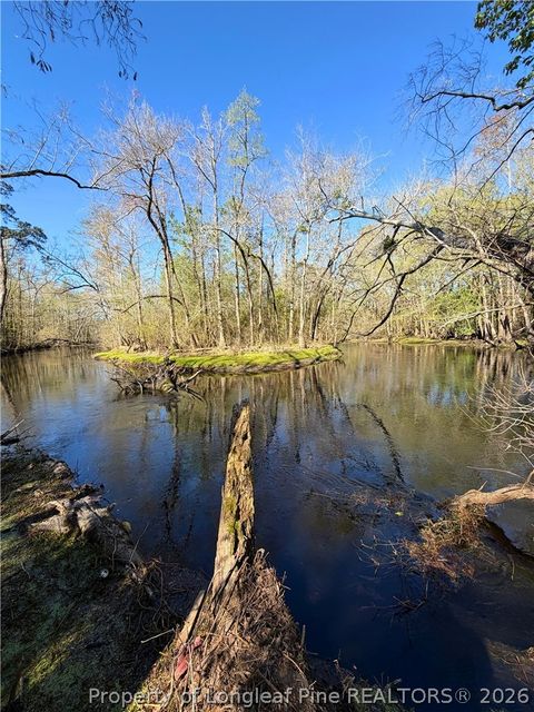 Tiny photo for Clark Road, Maxton, NC 28364 (MLS # 760123)