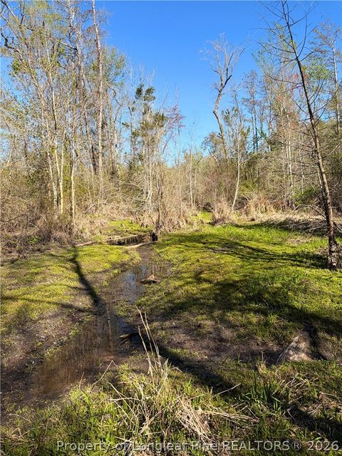 Tiny photo for Clark Road, Maxton, NC 28364 (MLS # 760123)