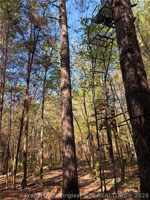 Tiny photo for Clark Road, Maxton, NC 28364 (MLS # 760123)