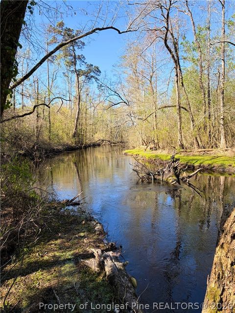 Tiny photo for Clark Road, Maxton, NC 28364 (MLS # 760123)