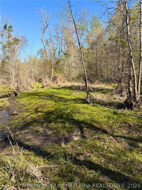 Tiny photo for Clark Road, Maxton, NC 28364 (MLS # 760123)