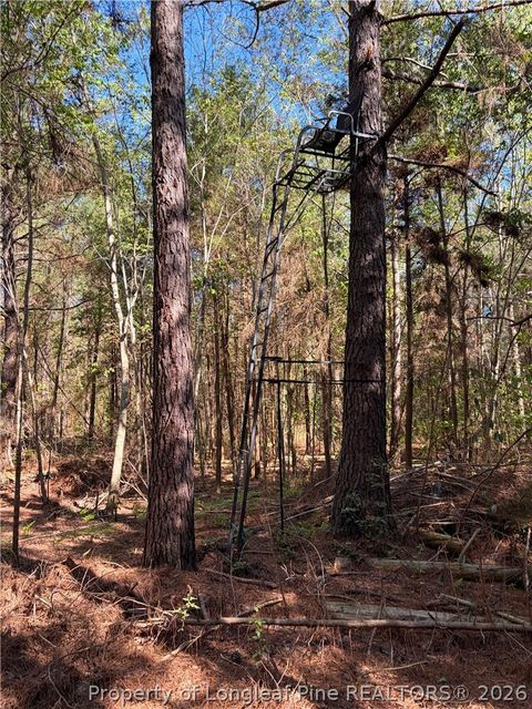 Tiny photo for Clark Road, Maxton, NC 28364 (MLS # 760123)