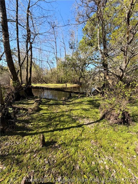 Tiny photo for Clark Road, Maxton, NC 28364 (MLS # 760123)