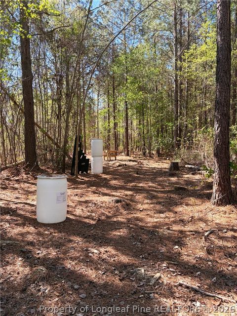 Tiny photo for Clark Road, Maxton, NC 28364 (MLS # 760123)