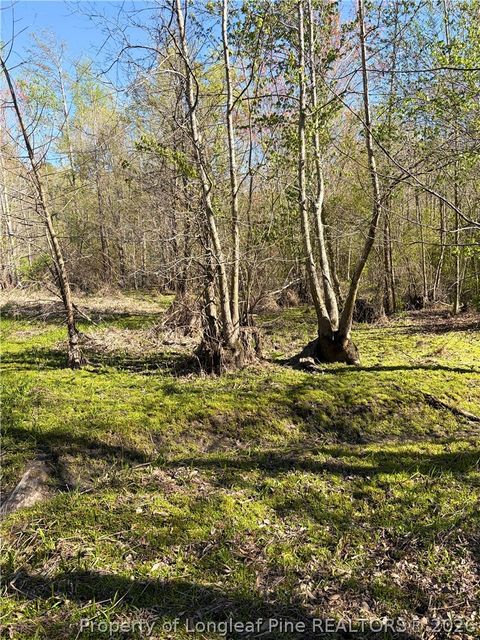 Tiny photo for Clark Road, Maxton, NC 28364 (MLS # 760123)