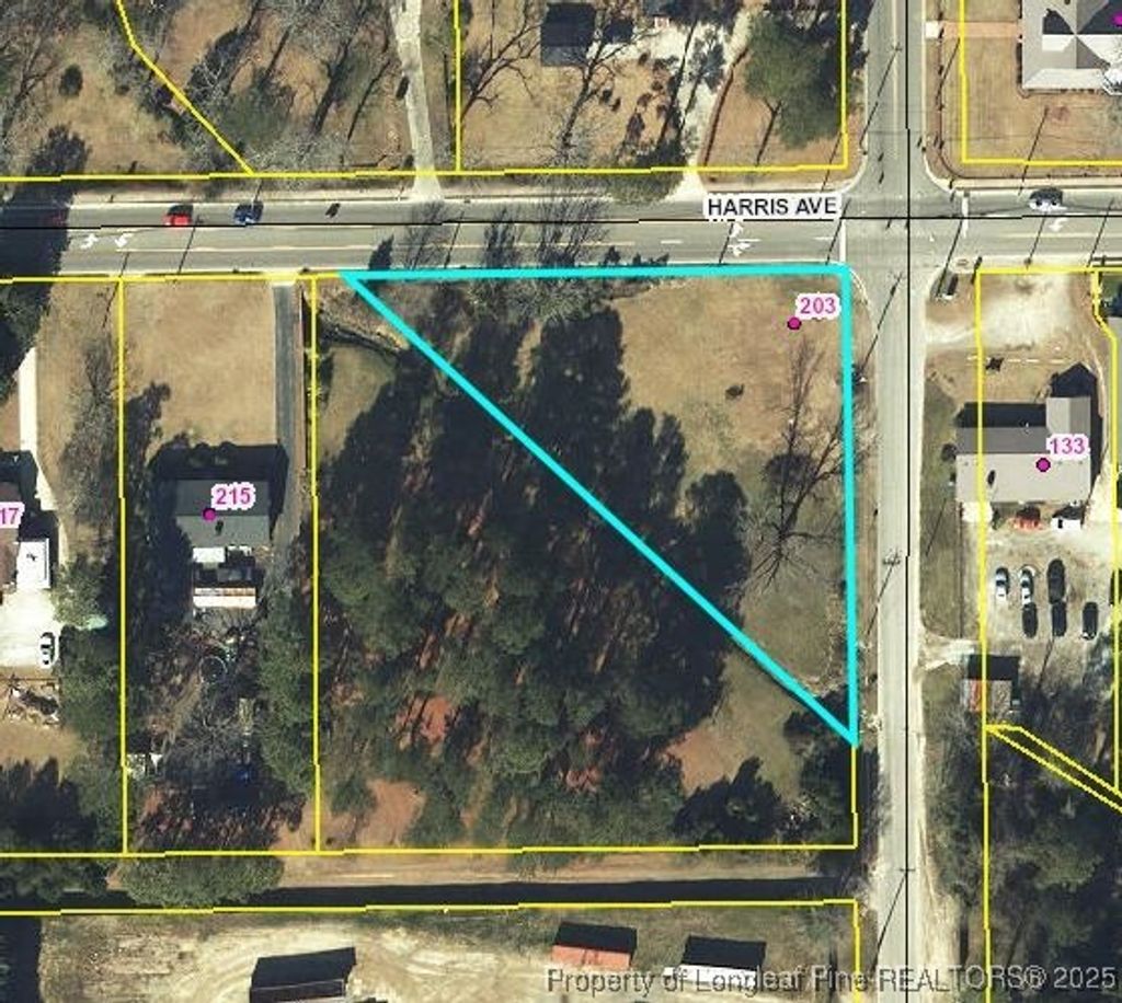 Photo of 203 Harris Avenue, Raeford, NC 28376 (MLS # 741721)