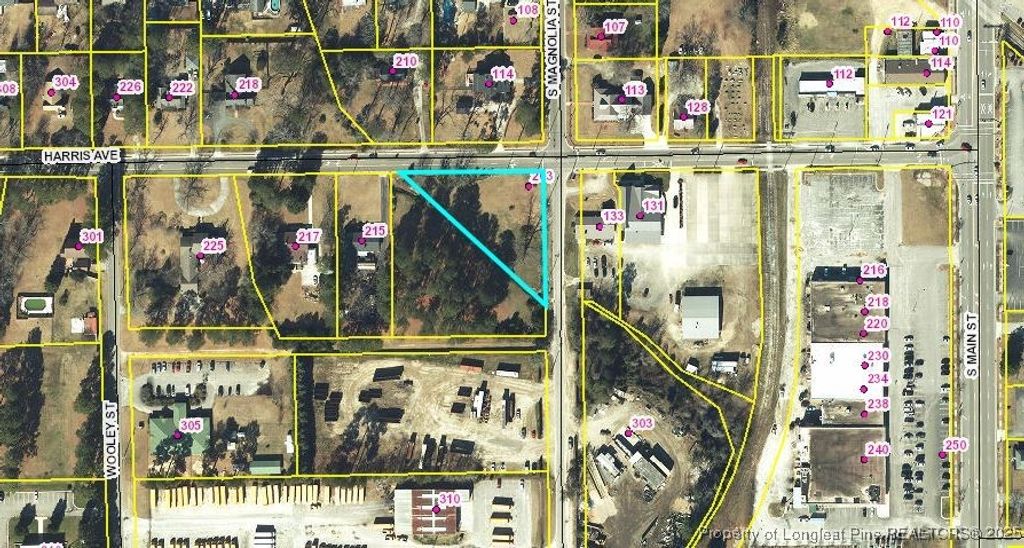 Photo of 203 Harris Avenue, Raeford, NC 28376 (MLS # 741721)