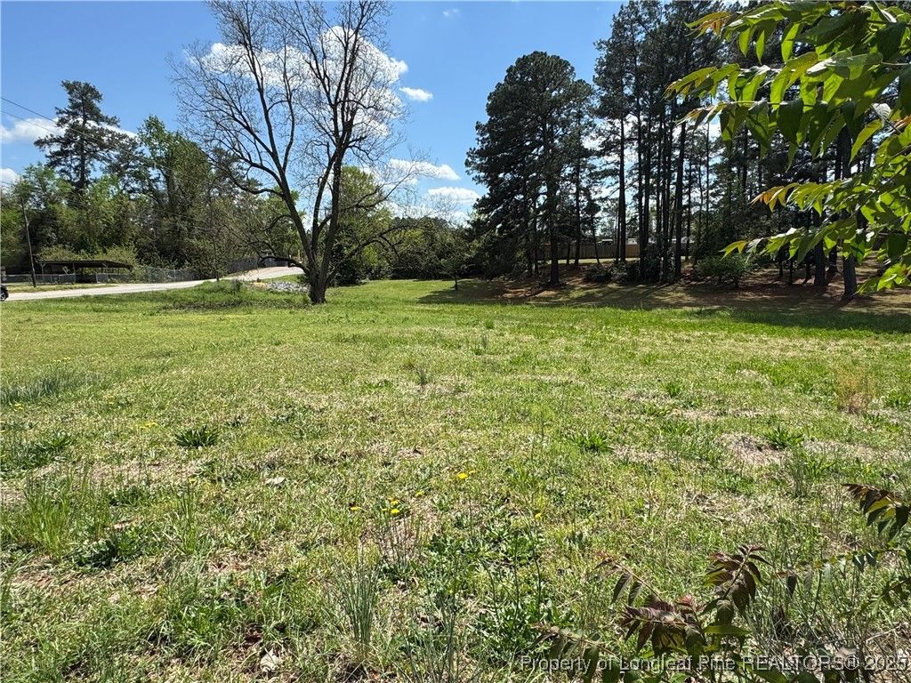 Photo of 203 Harris Avenue, Raeford, NC 28376 (MLS # 741721)