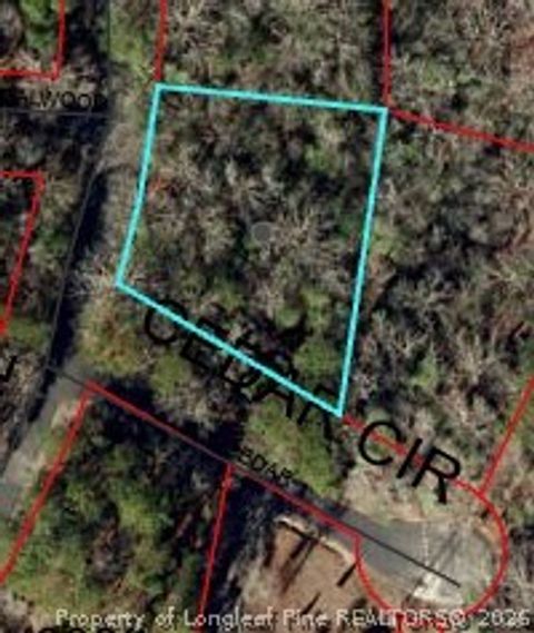 Photo of 2056 Long Point Trail, Sanford, NC 27332 (MLS # 762773)