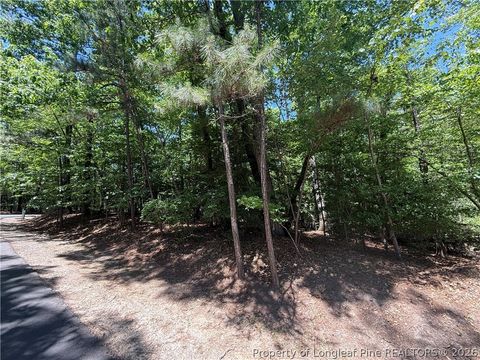 Tiny photo for 2056 Long Point Trail, Sanford, NC 27332 (MLS # 762773)