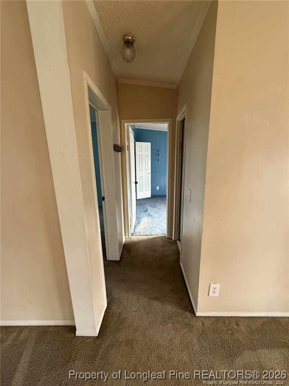 21040 McLaughlin Road - Photo 4
